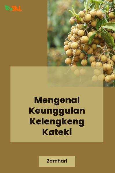 Mengenal Keunggulan Lengkeng Kateki